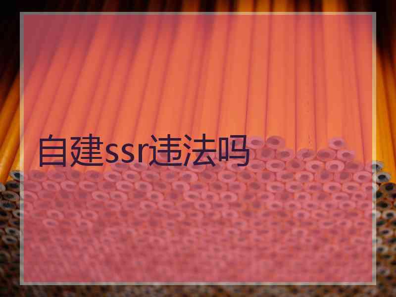 自建ssr违法吗