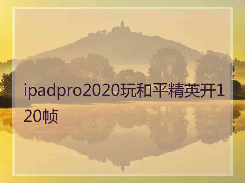 ipadpro2020玩和平精英开120帧