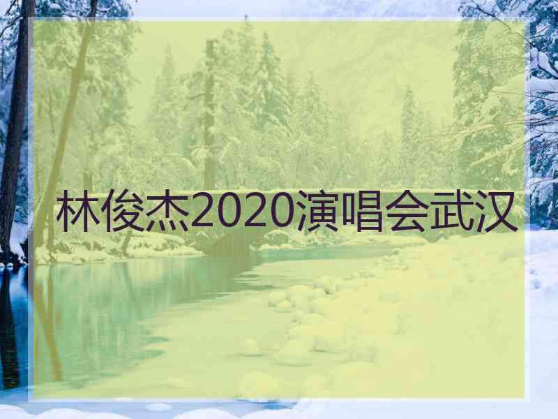 林俊杰2020演唱会武汉