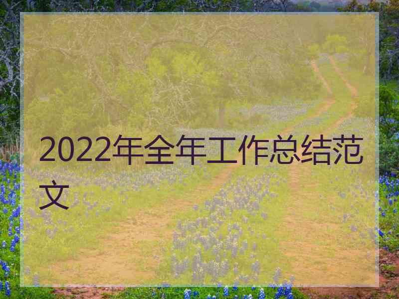 2022年全年工作总结范文