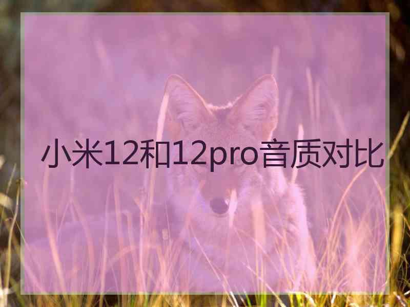 小米12和12pro音质对比