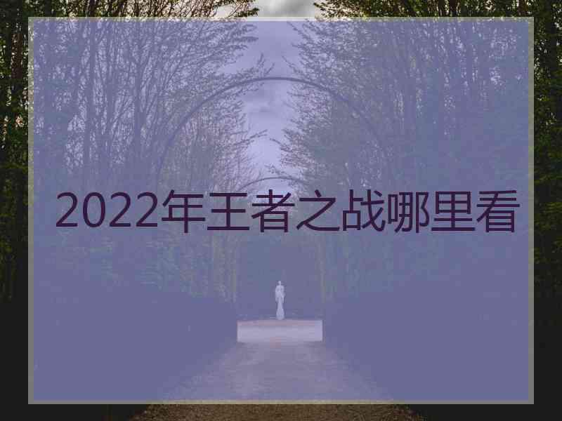 2022年王者之战哪里看