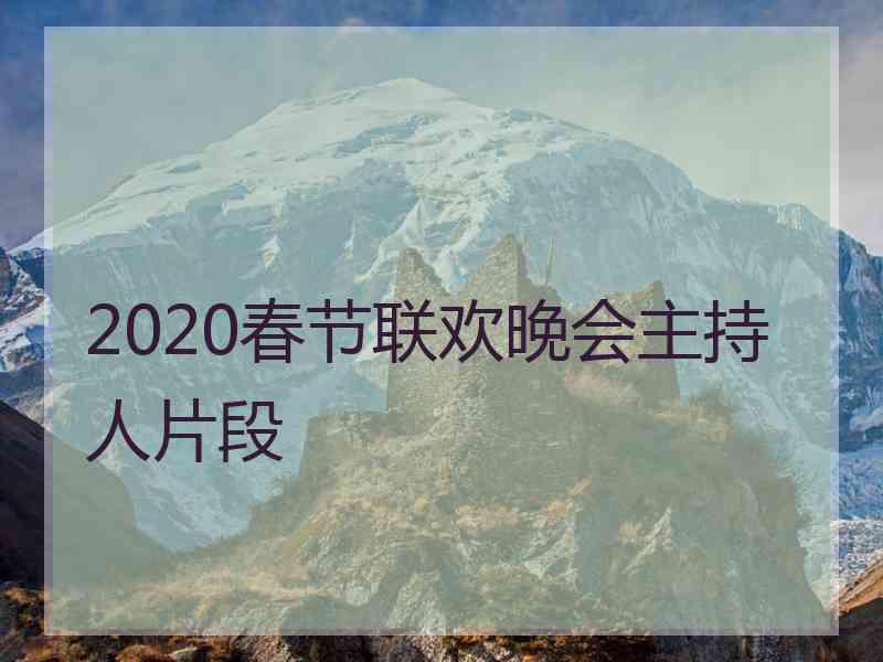 2020春节联欢晚会主持人片段