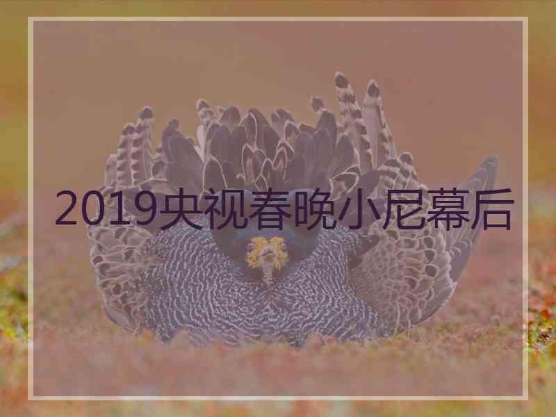 2019央视春晚小尼幕后