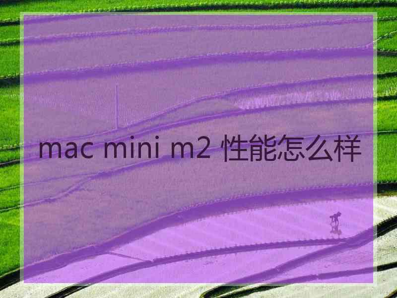 mac mini m2 性能怎么样