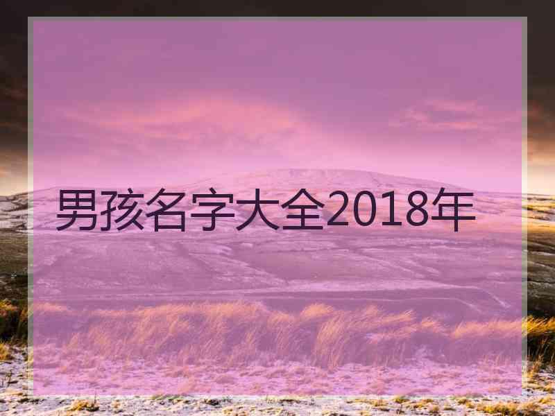 男孩名字大全2018年