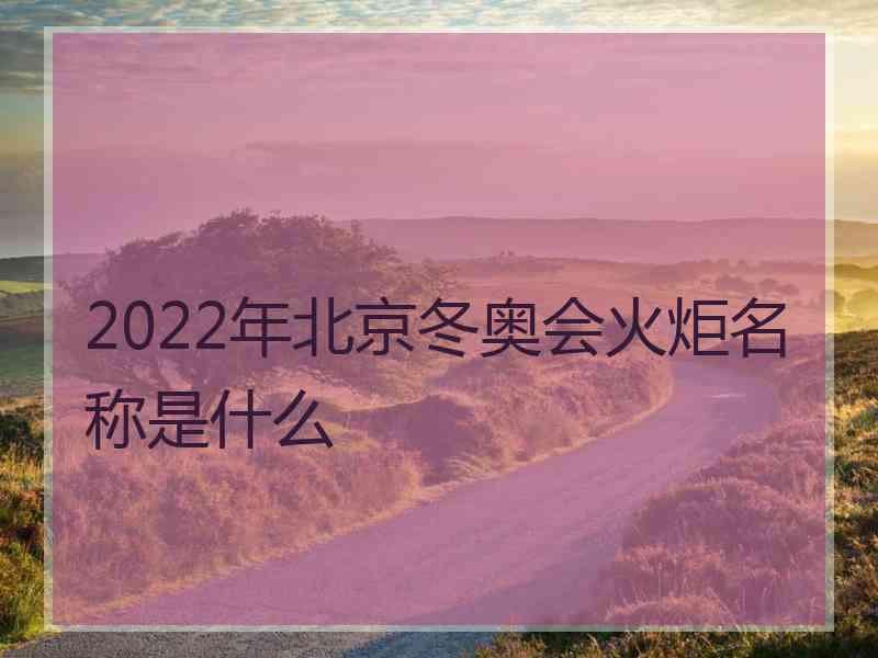 2022年北京冬奥会火炬名称是什么