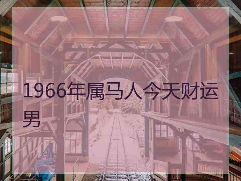 1966年属马人今天财运男