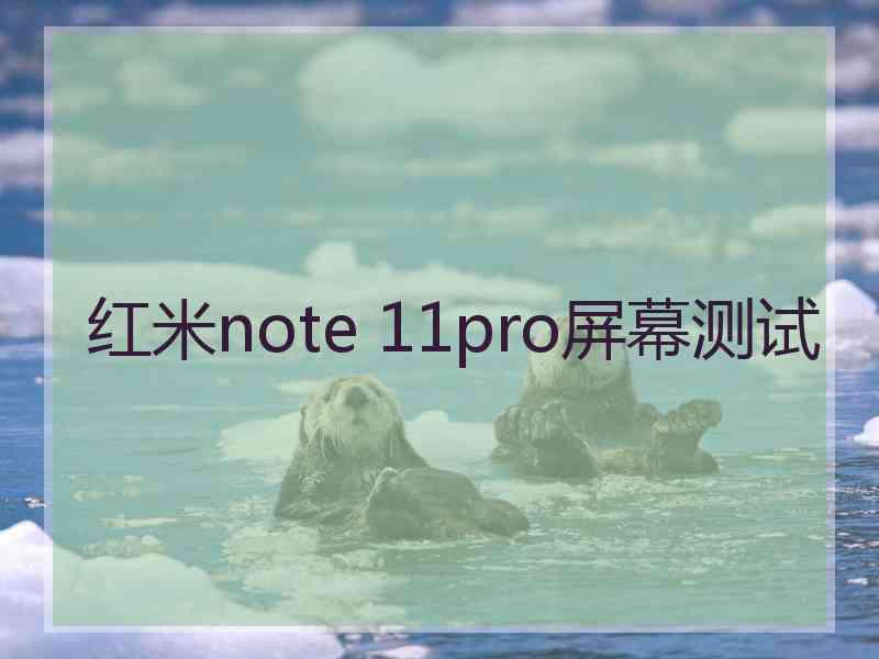 红米note 11pro屏幕测试