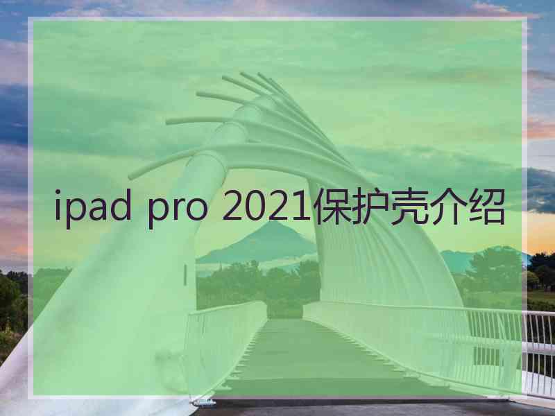 ipad pro 2021保护壳介绍