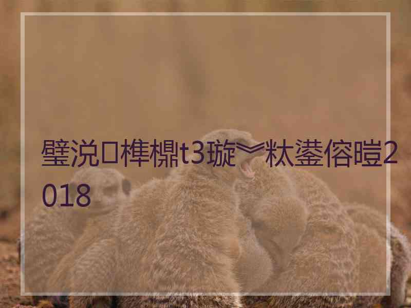 璧涚榫檙t3璇︾粏鍙傛暟2018