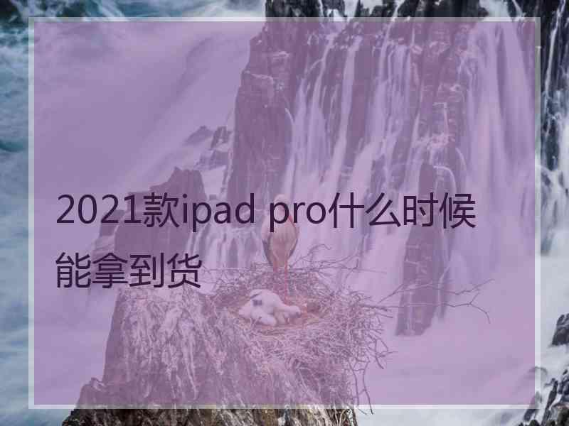 2021款ipad pro什么时候能拿到货