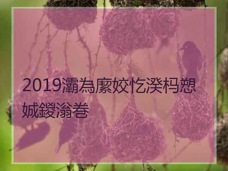 2019灞為緳姣忔湀杩愬娍鍐滃巻