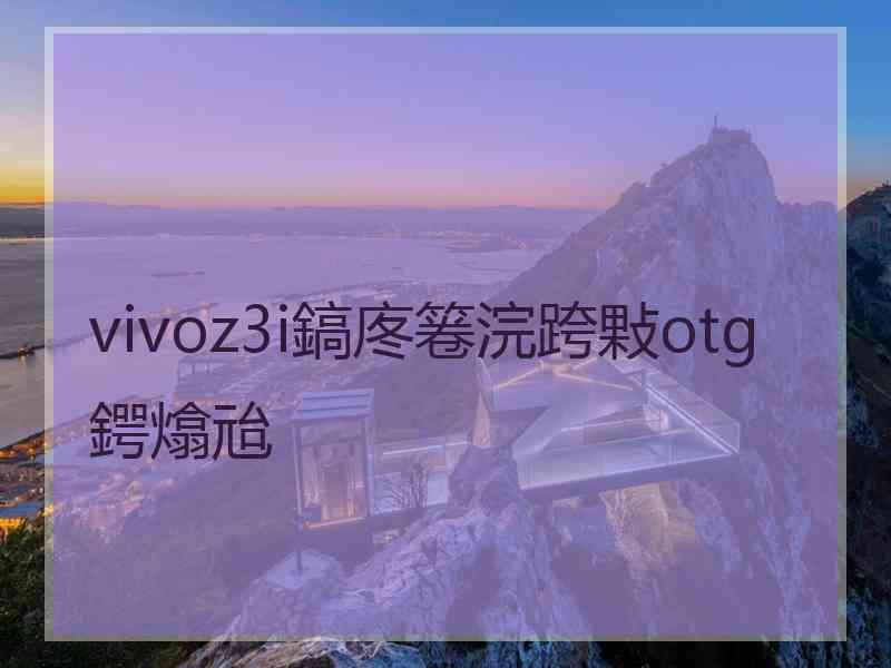 vivoz3i鎬庝箞浣跨敤otg鍔熻兘