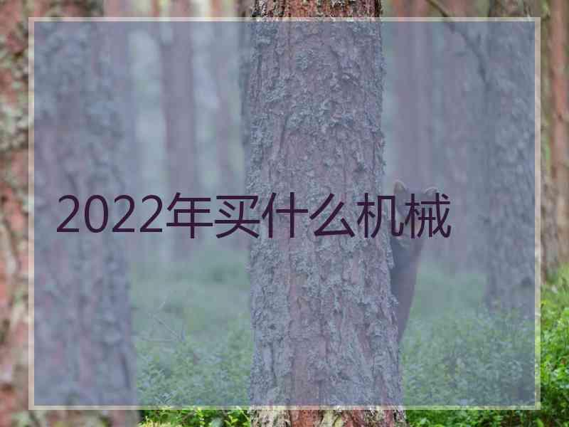 2022年买什么机械