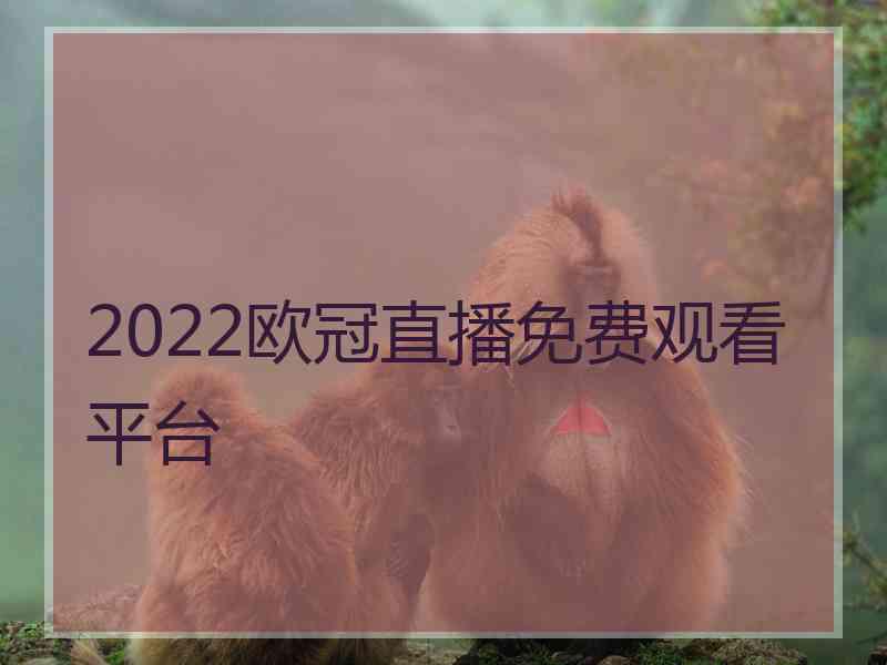 2022欧冠直播免费观看平台