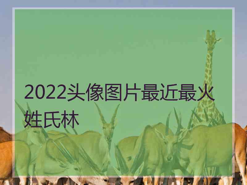 2022头像图片最近最火姓氏林