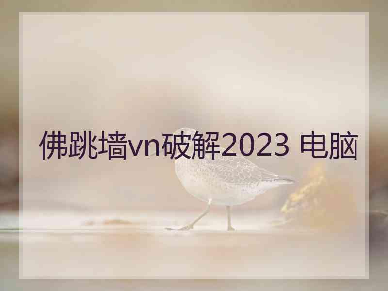 佛跳墙vn破解2023 电脑