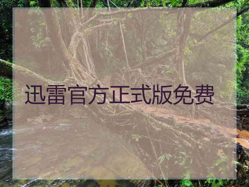 迅雷官方正式版免费