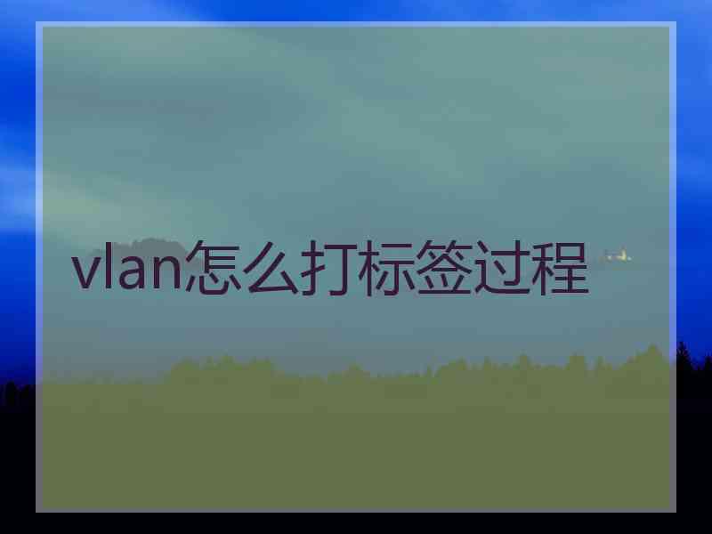 vlan怎么打标签过程