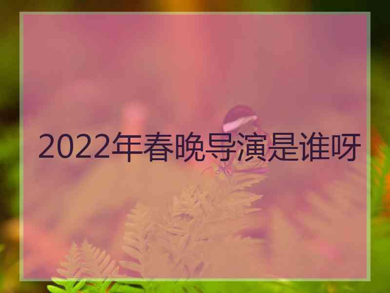 2022年春晚导演是谁呀