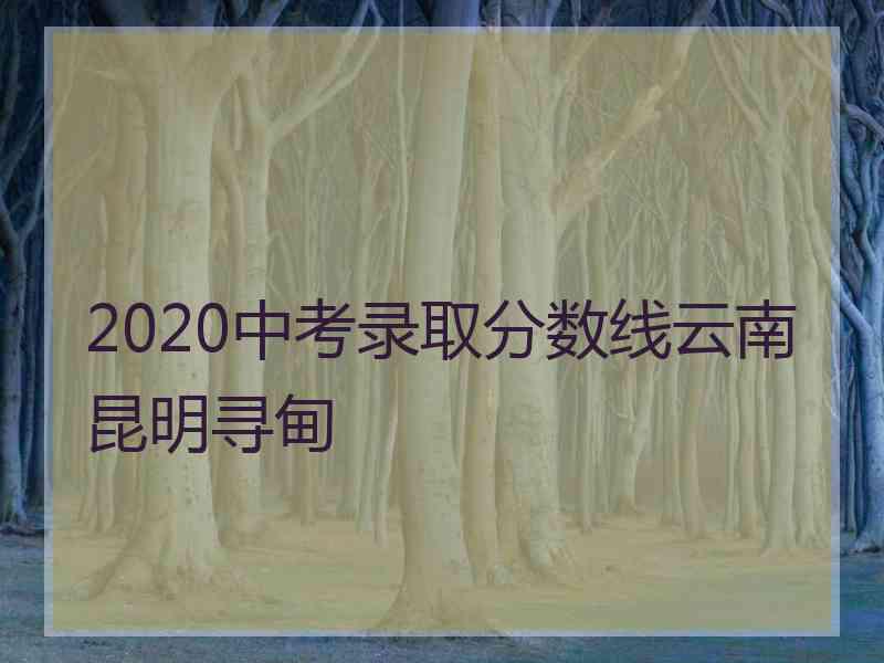 2020中考录取分数线云南昆明寻甸