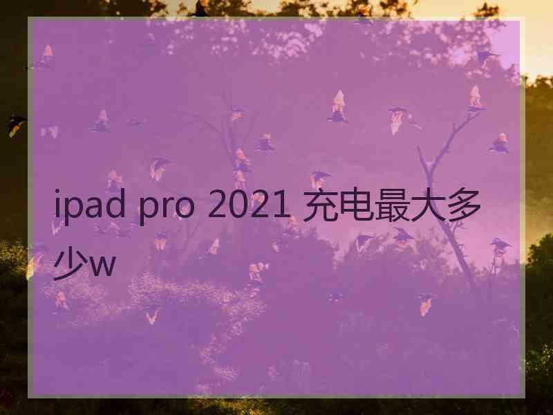 ipad pro 2021 充电最大多少w