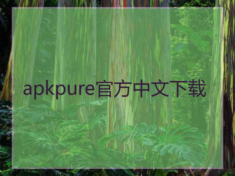 apkpure官方中文下载