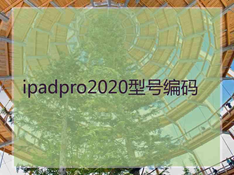 ipadpro2020型号编码