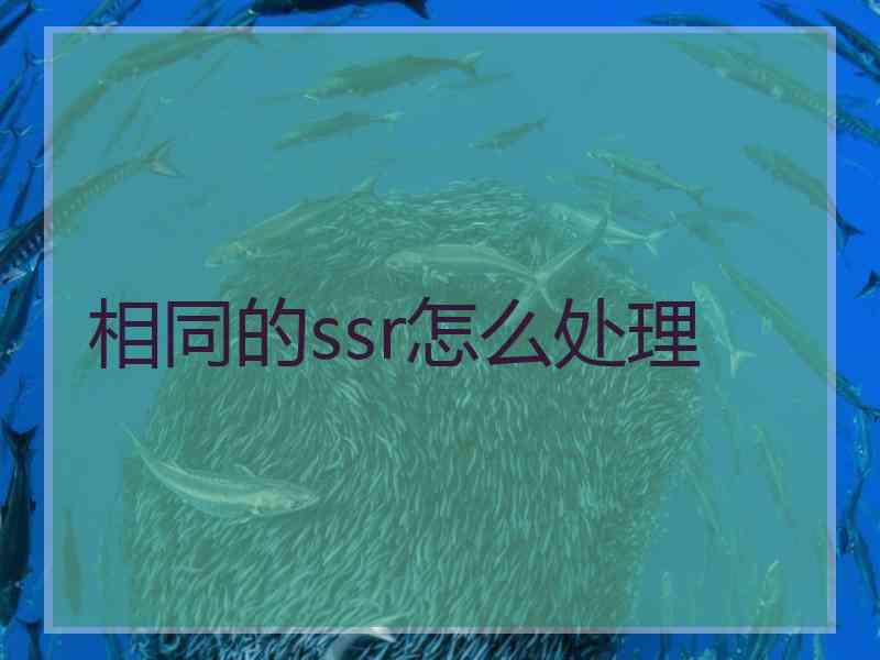 相同的ssr怎么处理