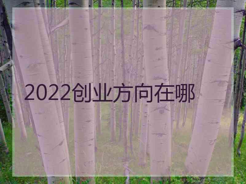 2022创业方向在哪