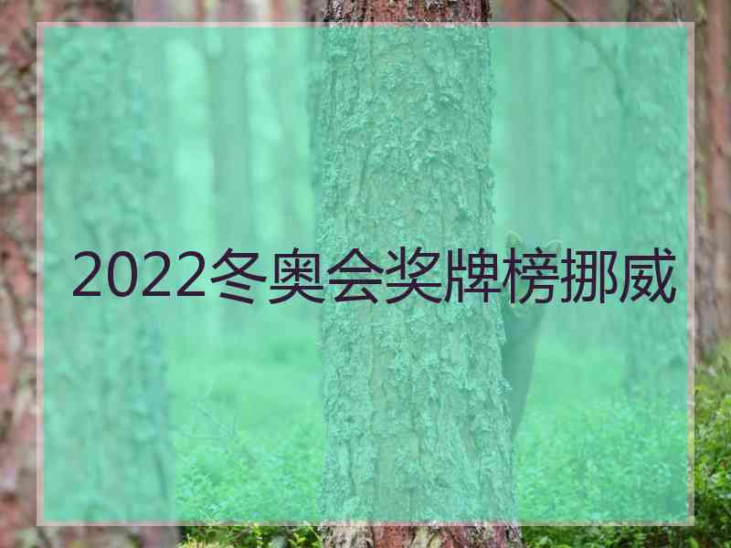 2022冬奥会奖牌榜挪威