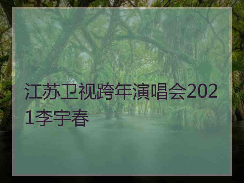 江苏卫视跨年演唱会2021李宇春