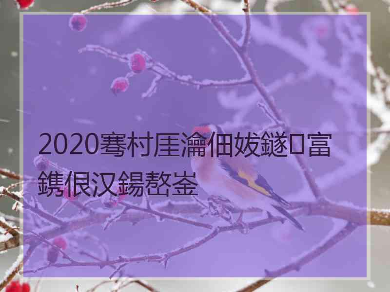 2020骞村厓瀹佃妭鐩富鎸佷汉鍚嶅崟