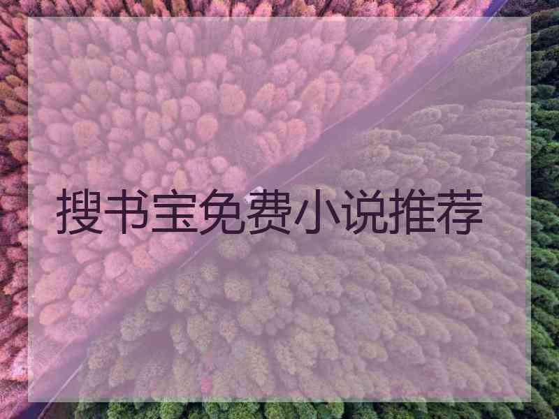 搜书宝免费小说推荐