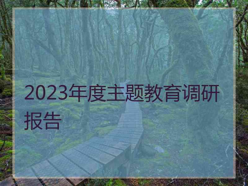 2023年度主题教育调研报告