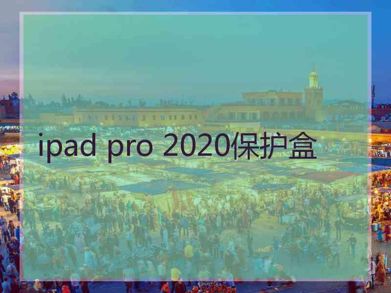 ipad pro 2020保护盒