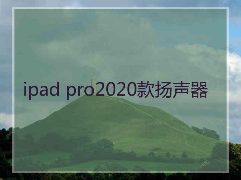 ipad pro2020款扬声器