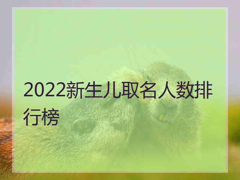 2022新生儿取名人数排行榜