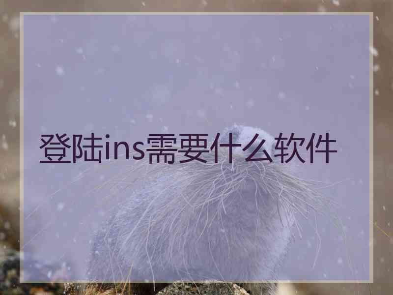 登陆ins需要什么软件