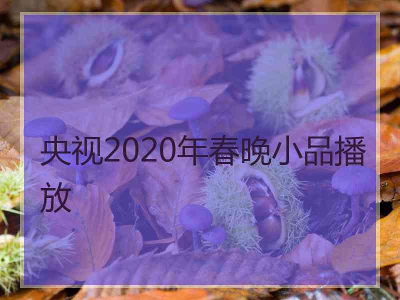 央视2020年春晚小品播放