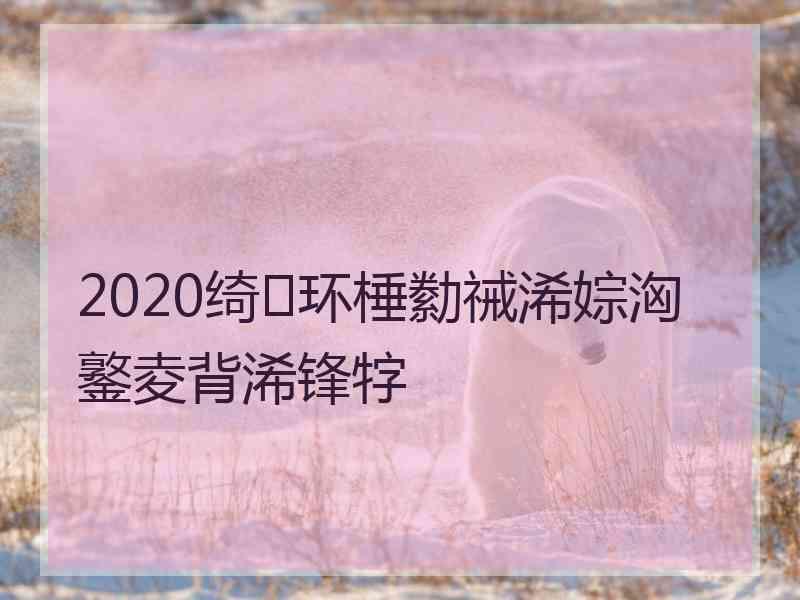 2020绮环棰勬祴浠婃洶鐜夌背浠锋牸