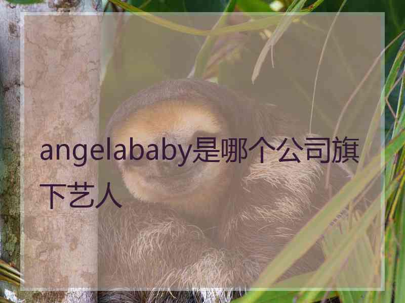 angelababy是哪个公司旗下艺人