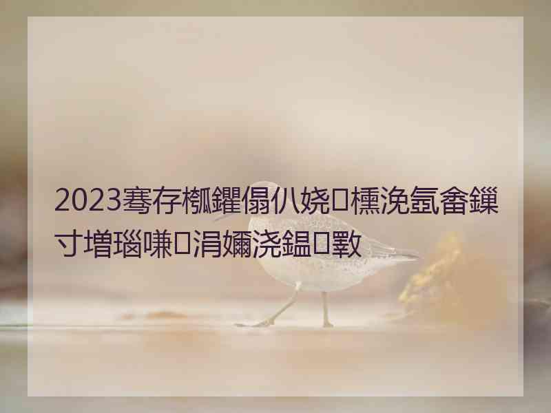 2023骞存槬鑺傝仈娆㈡櫄浼氬畬鏁寸増瑙嗛涓嬭浇鎾斁