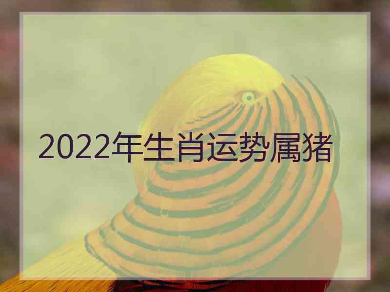 2022年生肖运势属猪