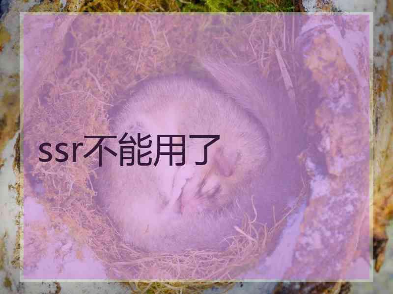 ssr不能用了