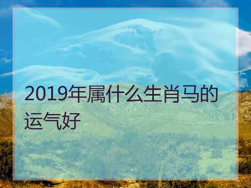 2019年属什么生肖马的运气好