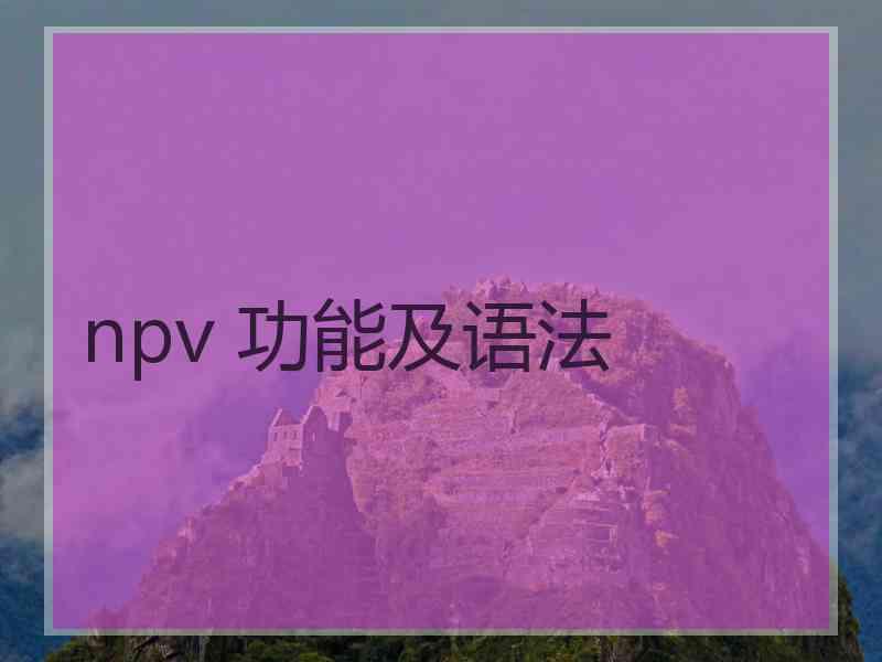 npv 功能及语法