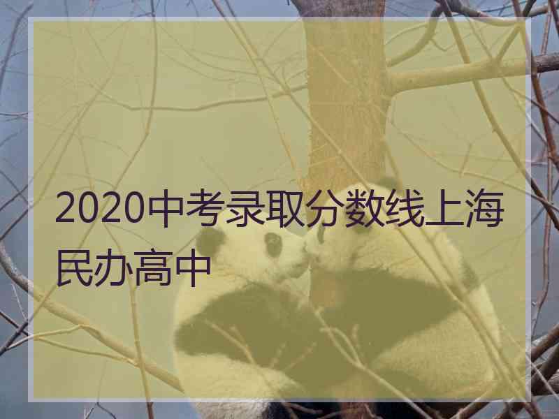 2020中考录取分数线上海民办高中