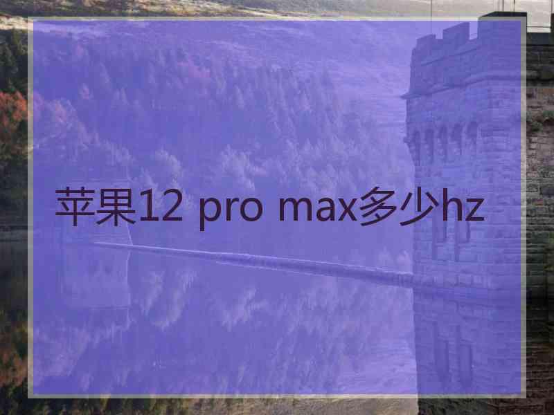 苹果12 pro max多少hz